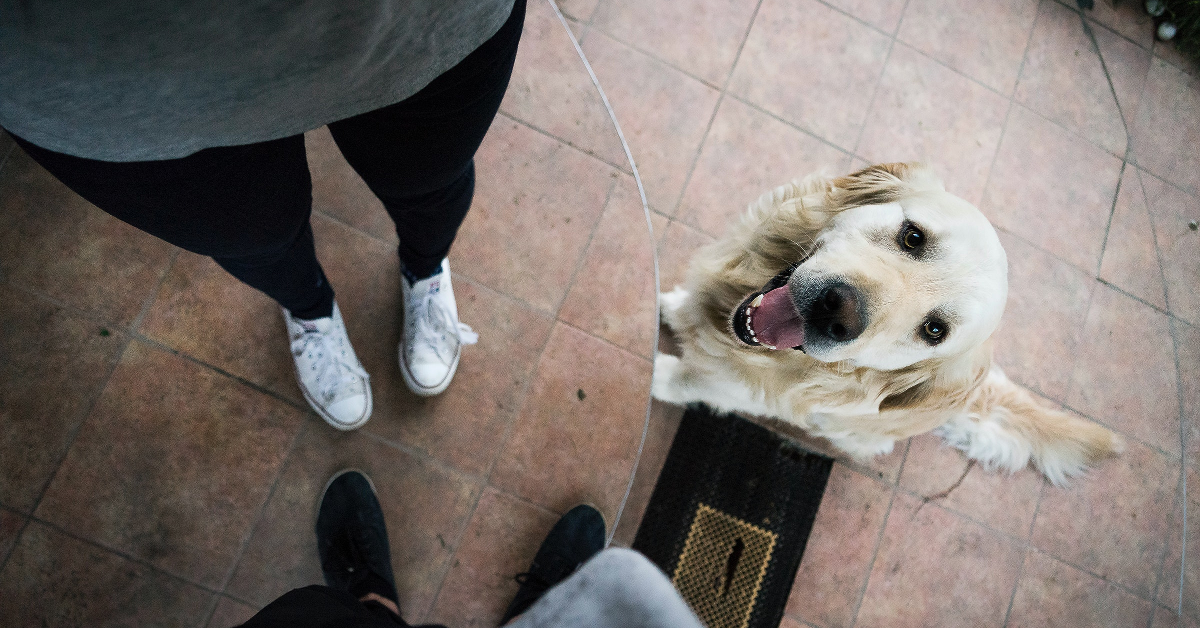 Wat zijn de kenmerken van een Golden Retriever?