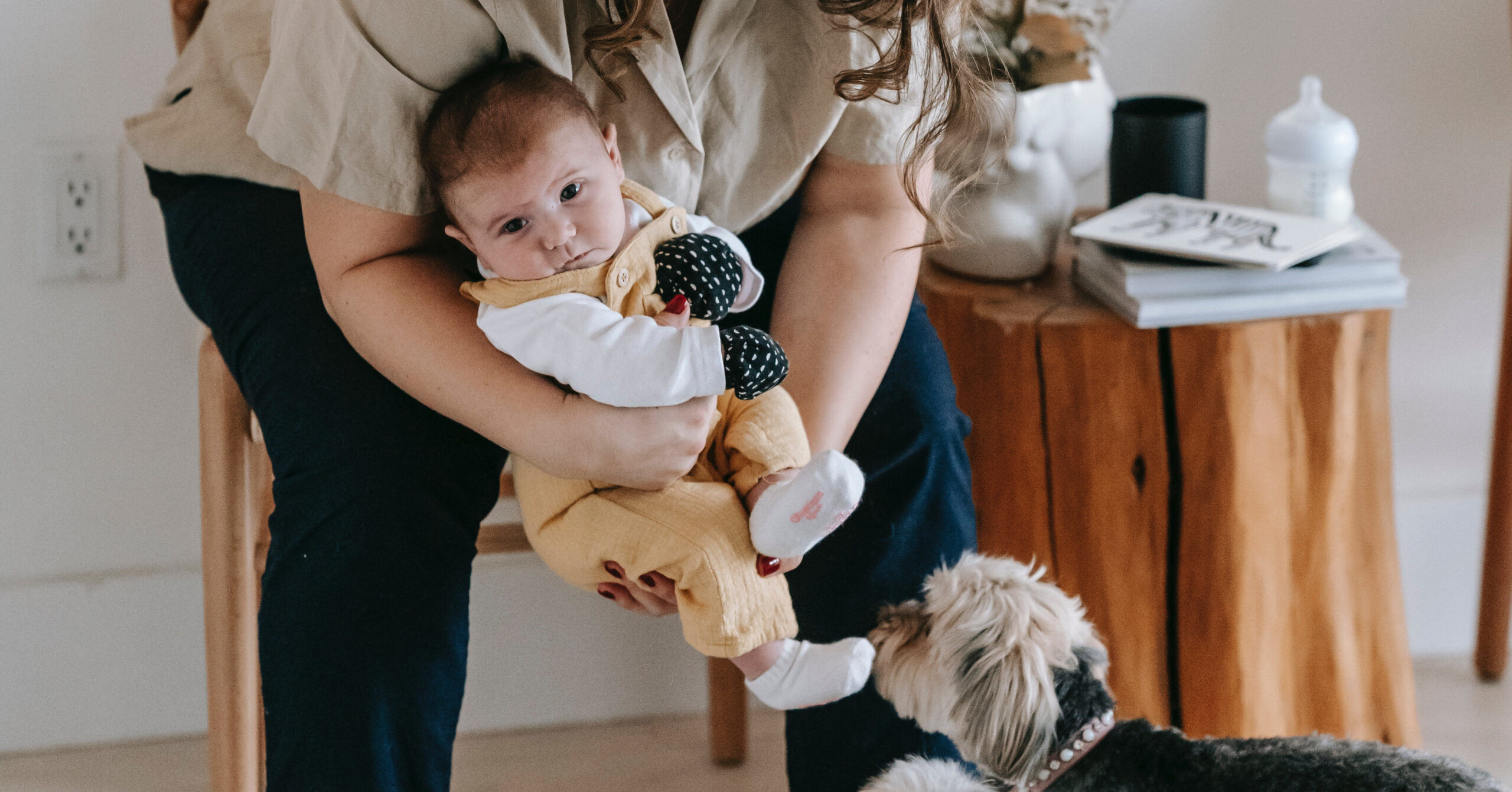 Hoe je jouw huisdier kunt voorbereiden op de komst van een baby