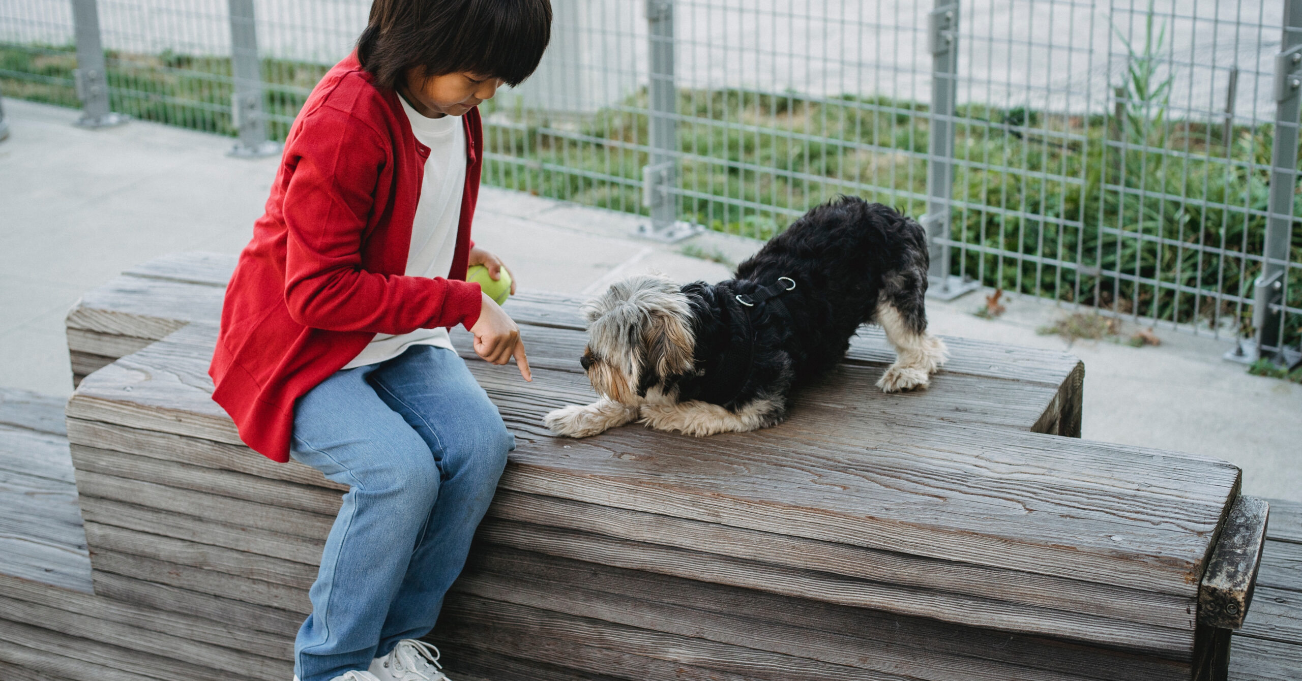 Gedragsproblemen bij huisdieren
