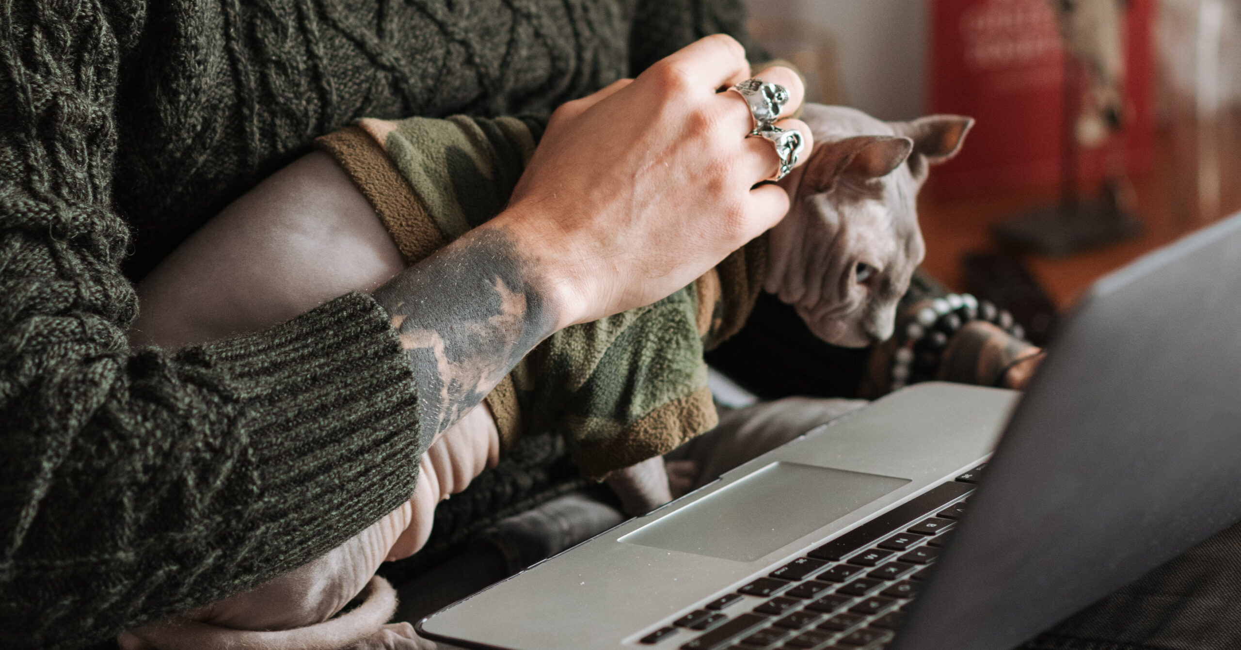 Wat is het karakter van een Sphynx?