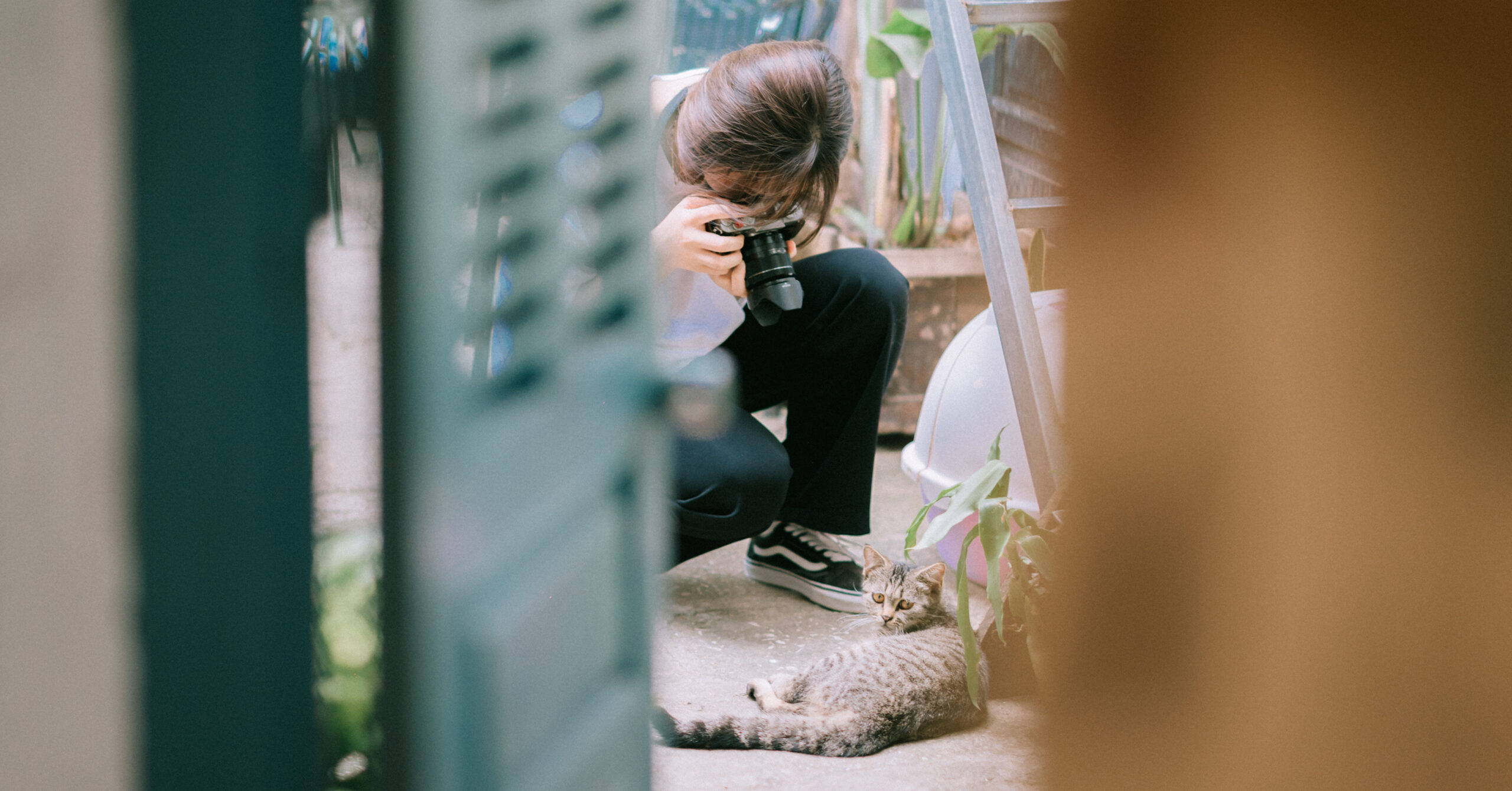 Hoe je een blog of vlog over je huisdier kunt beginnen