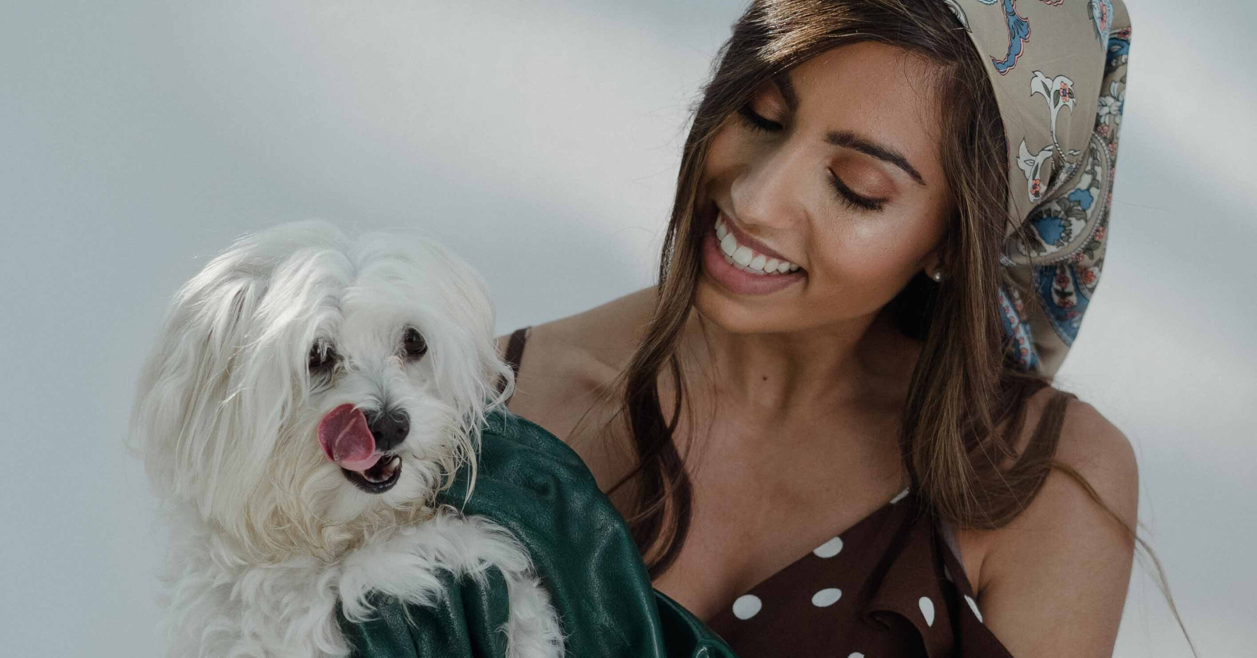 Verzorging van een Maltezer, waar moet je op letten?